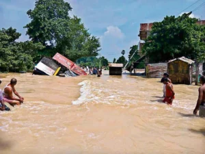 अध्याय-8 हमारा राज्य बिहार