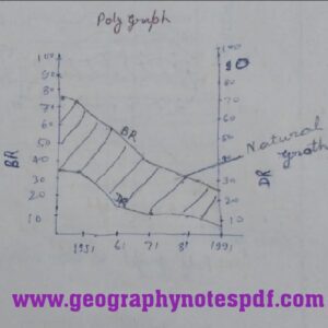 Poly Graph 