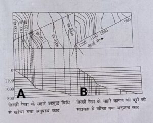 अनुप्रस्थ काट