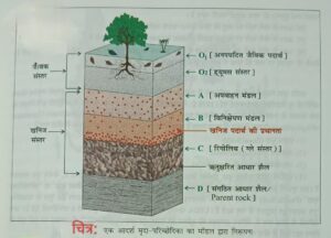 Types of Soil